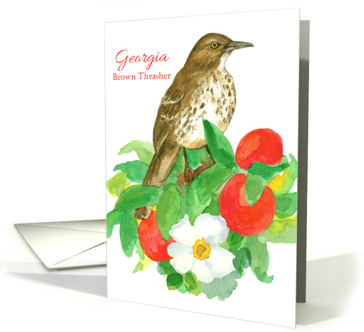 State Bird of Georgia Brown Thrasher card (1519334)