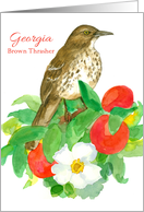 State Bird of Georgia Brown Thrasher card