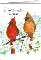 State Bird of North Carolina Northern Cardinal card