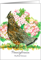 State Bird of Pennsylvania Ruffed Grouse Mountain Laurel card