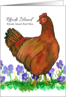 State Bird of Rhode Island Red Hen Chicken Purple Violets card