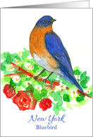 State Bird of New York Bluebird Red Roses Watercolor card