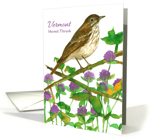 State Bird of Vermont Hermit Thrush Clover Watercolor card (1526362)