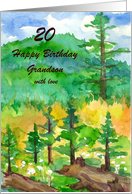 Happy 20th Birthday Grandson Mountain Forest Custom card