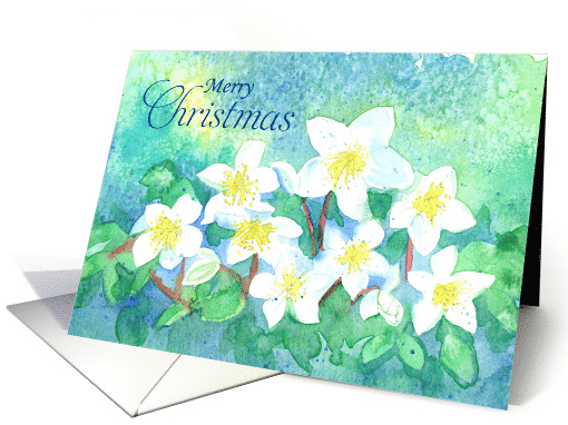 Merry Christmas Holiday Hellebore Flowers card (1583252)