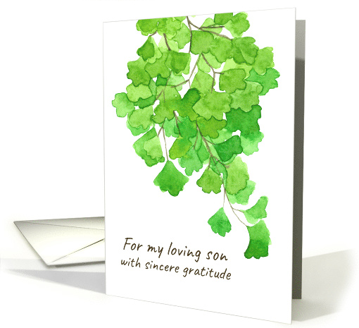 Thank You Son Caregiver Fern Plant card (1587834)