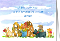 Pet Sitter Thank You...