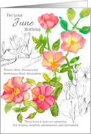 For Your June Birthday Roses Honeysuckle Botanical card