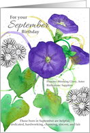 For Your September Birthday Morning Glory Asters Spatter card