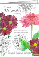 For Your November Birthday Chrysanthemum Flowers card