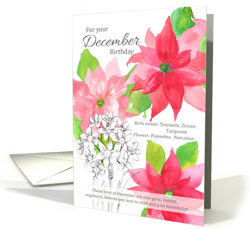 For Your December Birthday Poinsettia Narcissus Floral card (1615188)