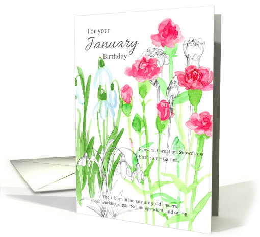 For Your January Birthday Carnations Snowdrops Floral card (1616194)