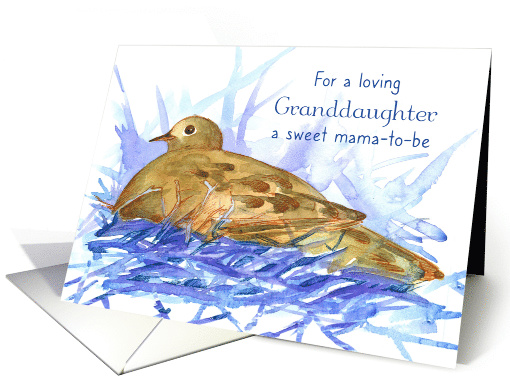 Granddaughter Pregnancy Congratulations Dove Bird card (1619836)