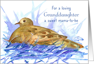 Granddaughter Pregnancy Congratulations Dove Bird card