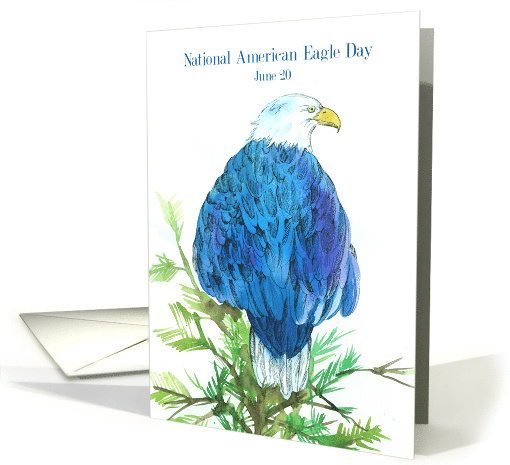 National American Eagle Day June 20 Bird Art card (1625240)