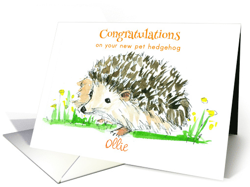 Congratulations New Pet Hedgehog Custom Name card (1636700)