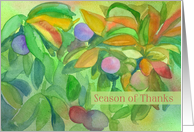 Season Of Thanks...