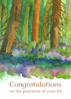 Congratulations On The Purchase Of Your Lot Forest Land