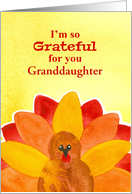 I'm So Grateful For...