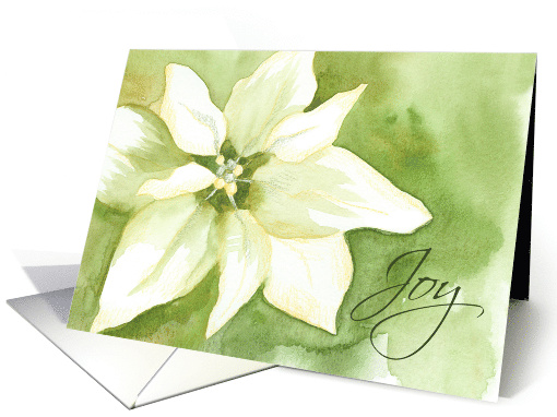 Joy Merry Christmas White Poinsettia Flower card (1697574)