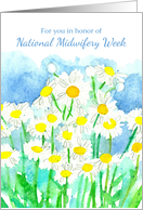 National Midwifery Week October Monte Casino Asters card