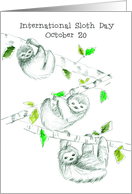 International Sloth Day October 20 Rainforest Animal card