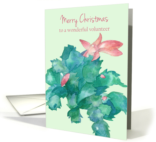 Merry Christmas Volunteer Cactus Blooming Pink Flowers card (1713788)