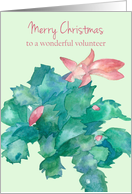 Merry Christmas Volunteer Cactus Blooming Pink Flowers card