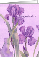 Congratulations Retirement Purple Iris Flower card