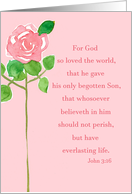 Valentine’s Day Pink Rose John Bible Verse Christian Religious card