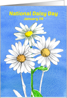 National Daisy Day January 28 Royal Blue Watercolor card