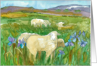 Happy Spring Lambs Sheep Wild Iris Field Watercolor card
