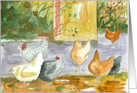 Happy Birthday From All Of Us Chickens Hens Farm card