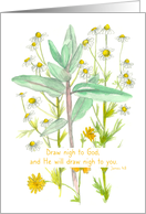 Praying For You Bible Verse James 4 Garden Plants card