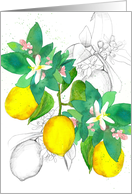 June National Lemon Month Citrus Fruit Spatter card