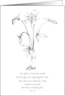 I Love You Bible Scripture John 3 16 Columbine Flower card