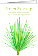 Easter Blessings Palm Frond Scripture Religious card