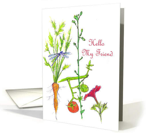 Hello My Friend Garden Vegetable Drawing Dragonfly Tomato card