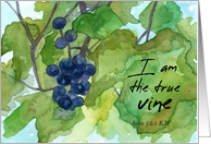 Welcome To Church Bible Scripture John Grape Vines card