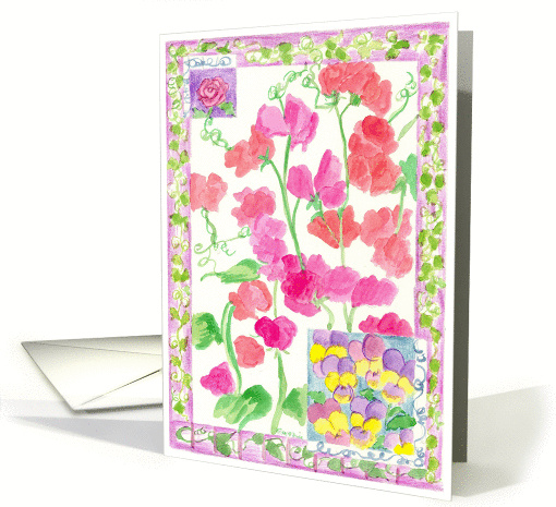 Pink Sweet Pea Flower Garden Watercolor Spring Flowers card (178394)