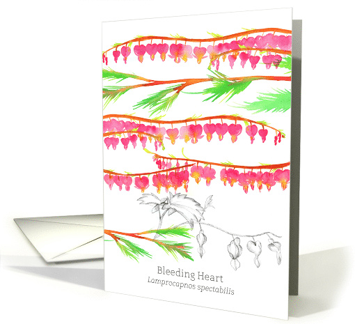 Bleeding Heart Flowers Fuchsia Pink Botanical Art card (1795422)
