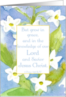 Happy Birthday Scripture Peter White Flowers card