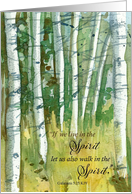 Thinking of You Galatians Scripture Aspens Fall Trees card