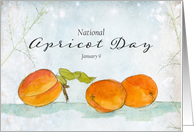 Apricot Day January 9 Orange Fruit Winter Plants card
