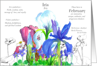 February Birthday Flower Iris Violets Language of Flowers card