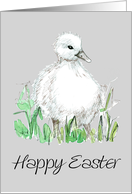 Happy Easter Cygnet Baby Swan Bird Wildlife card