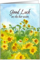 Good Luck Bar Exam Sunflower Field card