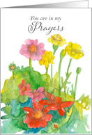 You Are In My Prayers Get Well Soon Zinnia Flowers card