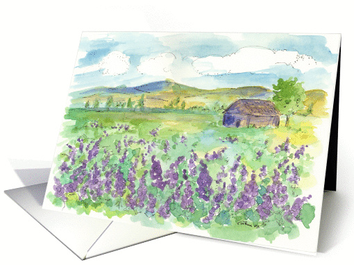 Purple Lupine Summer Season Fields Watercolor Painting card (182895)