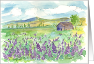 Purple Lupine Summer Season Fields Watercolor Painting card